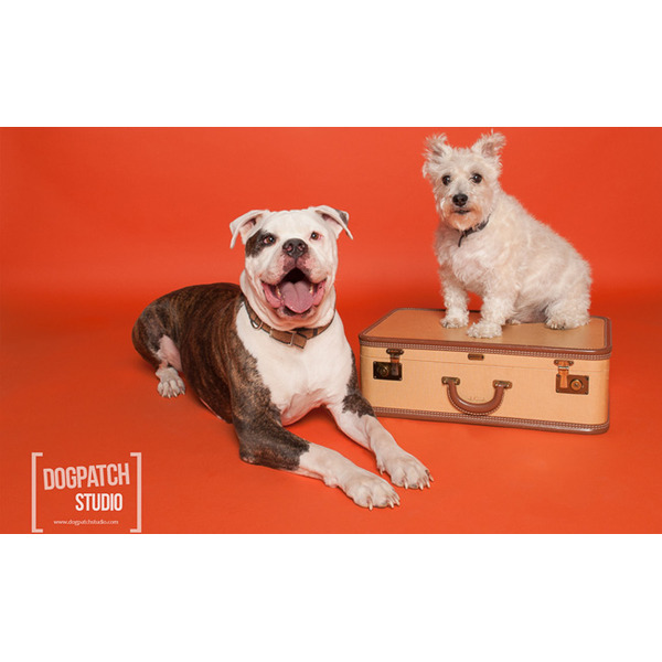 Fondo de Papel BD Tangerine 2,72 × 11 m BD152A1 3