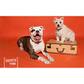 Fondo de Papel BD Tangerine 2,72 × 11 m BD152A1 - Miniatura 3
