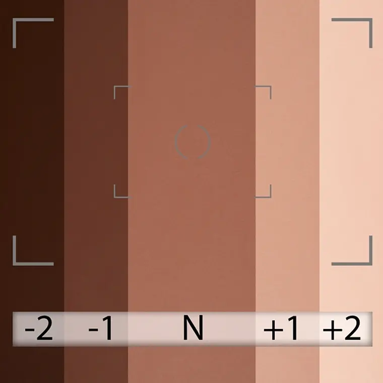 Fondo de Papel BD Hickory 1,36 × 11 m BD113A 4