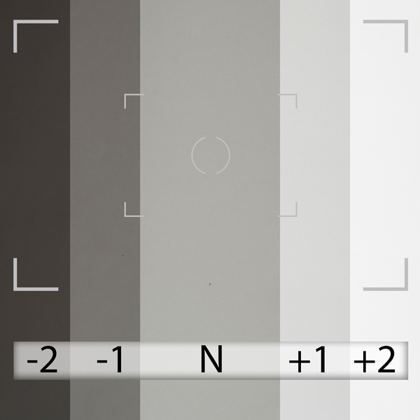 Fondo de Papel BD Dark Gray 2,72 × 11 m BD172A1 2