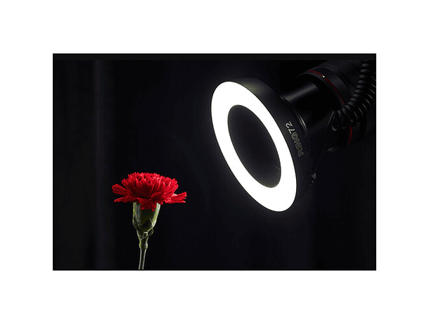 Luz LED Anular Macro Godox Ring72