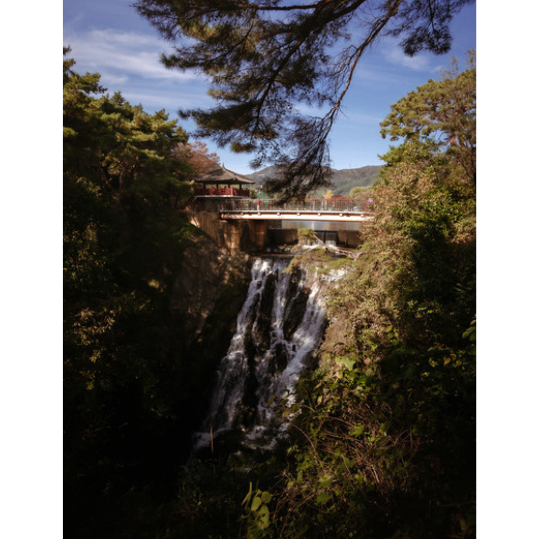 Lente Samyang AF 12 mm f/2 Autofoco APS-C para Cámaras Canon RF-S 6