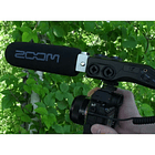 Paravientos de Espuma Zoom WSS-6 para Micrófonos SGH-6, SSH-6 y Shotgun 2