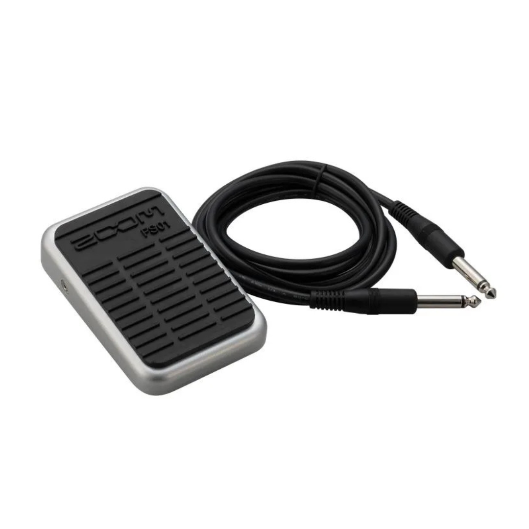 Interruptor de Pie Zoom FS01 1