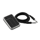 Interruptor de Pie Zoom FS01 1