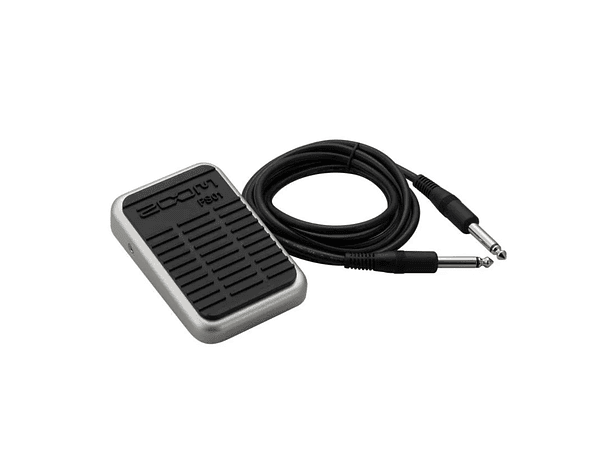 Interruptor de Pie Zoom FS01