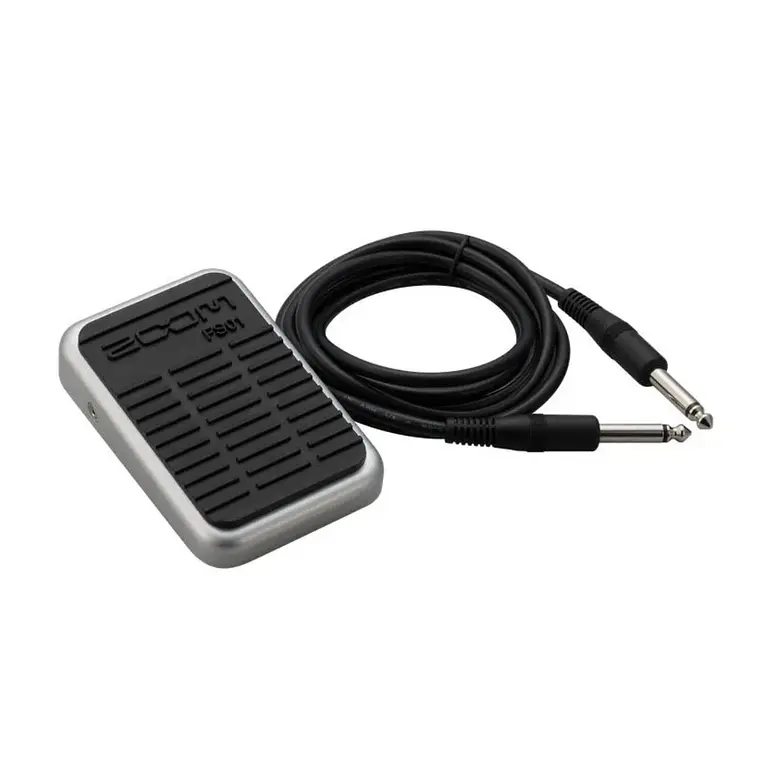 Interruptor de Pie Zoom FS01 1