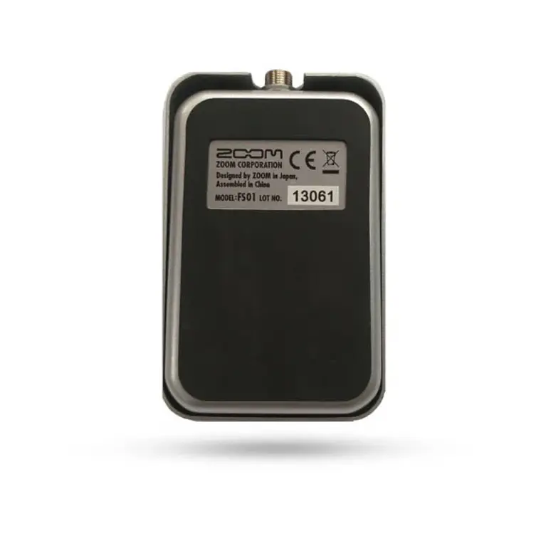 Interruptor de Pie Zoom FS01 6