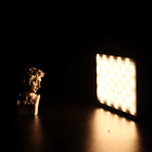 Panel LED Vijim VL120 Bicolor con Difusor de Silicona 12