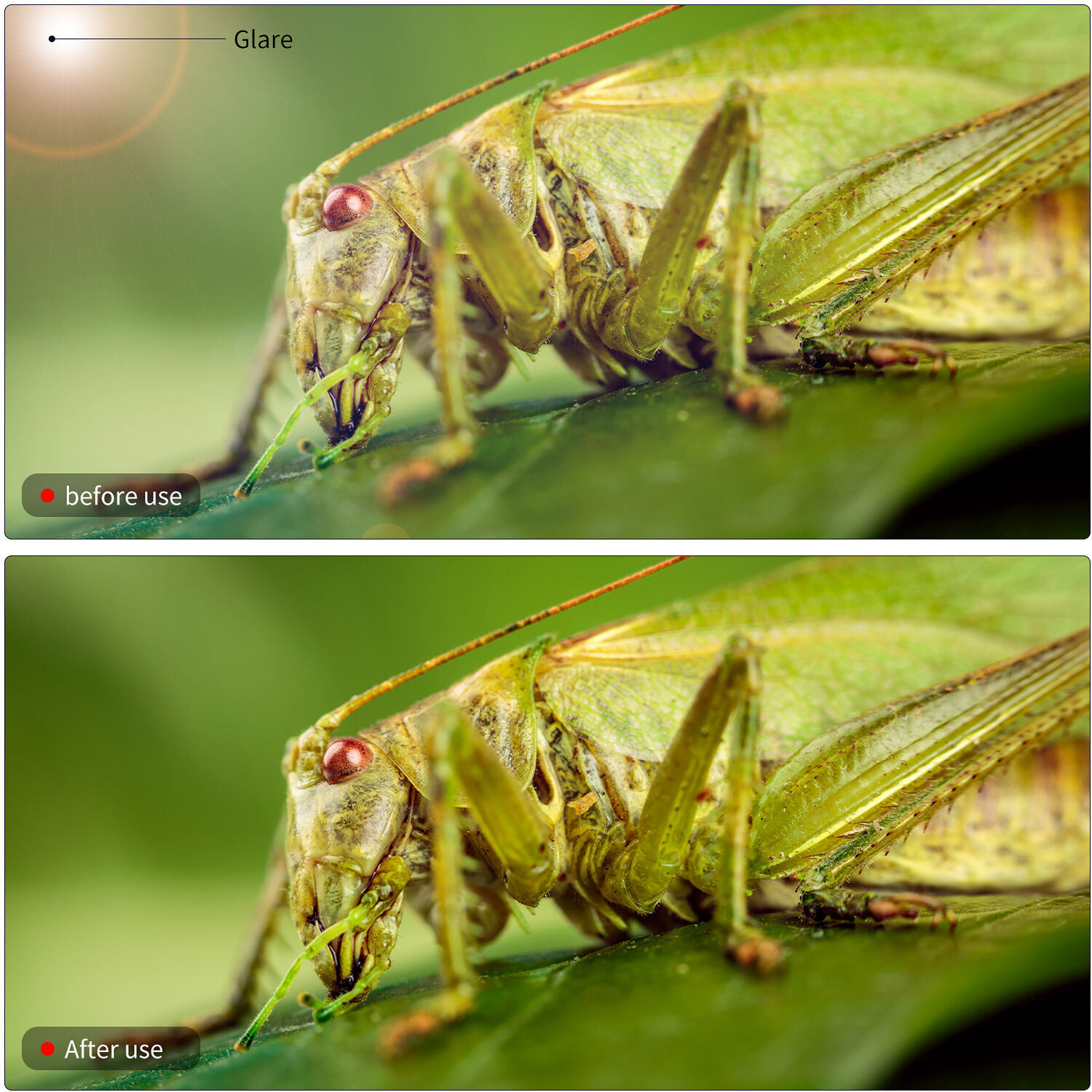 Lente Macro Ulanzi 52mm Conversor para Lentes  7