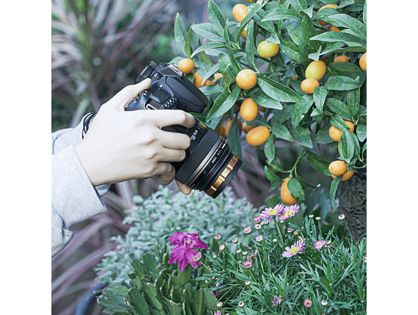 Lente Macro Ulanzi 52mm Conversor para Lentes 