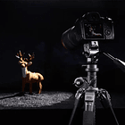 Cabezal de Video Ulanzi EH12 con Quick Release F38 2