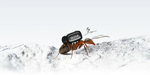 Micrófono Lavalier Inalámbrico Boya Mini 2-06 con IA para Reducción de Ruido
