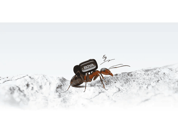 Micrófono Lavalier Inalámbrico Boya Mini 2-06 con IA para Reducción de Ruido