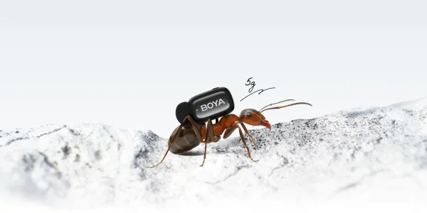 Micrófono Lavalier Inalámbrico Boya Mini 2-06 con IA para Reducción de Ruido 2