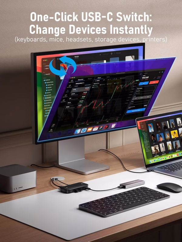 Conmutador KVM para 2 Computadores y Múltiples Periféricos Lemorele H200 4