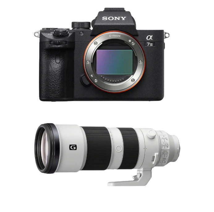 Cámara Sony A7 III Body + Lente Sony FE 200-600mm F/5.6-6.3 1