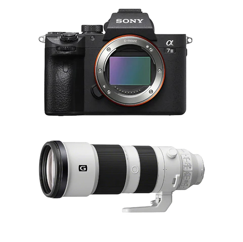 Cámara Sony A7 III Body + Lente Sony FE 200-600mm F/5.6-6.3