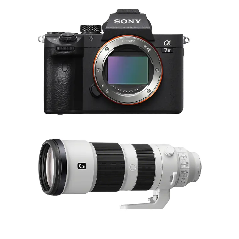 Cámara Sony A7 III Body + Lente Sony FE 200-600mm F/5.6-6.3 1