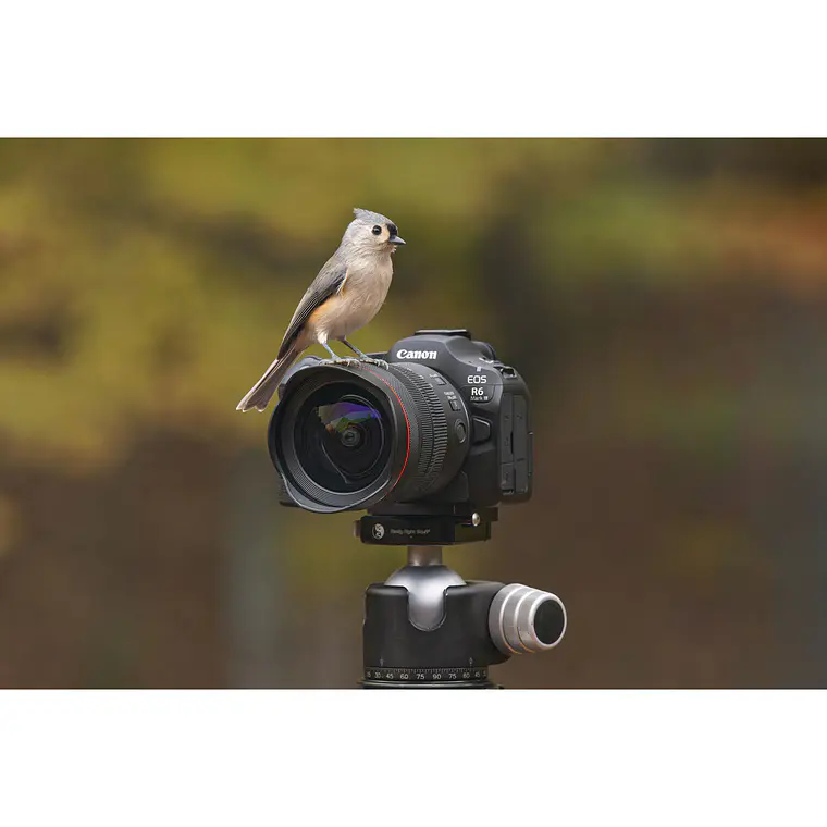 Cámara Mirrorles Canon EOS R6 Mark III - Body (IMPORTADO) 2