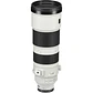 Lente Sony FE 200-600mm F/5.6-6.3 G OSS (IMPORTADO) - Miniatura 9