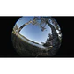 Lente Canon RF 7-14 mm f/2.5-3.5L Fisheye STM - Miniatura 2