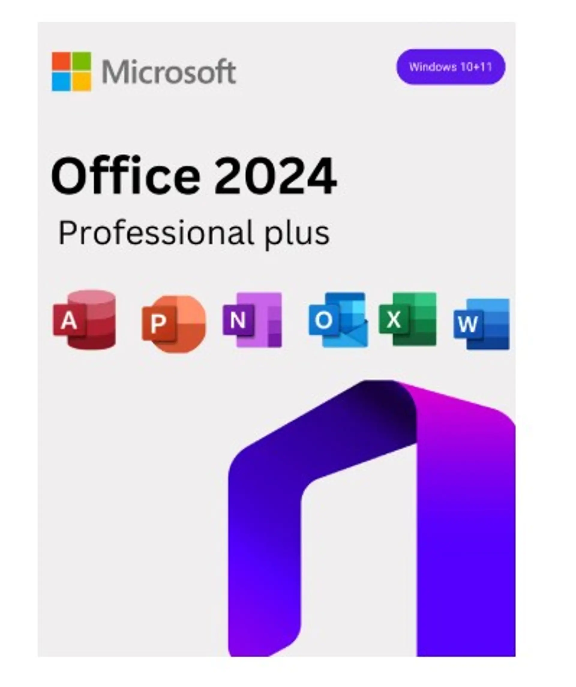 Microsoft Office 2024 Professional Plus 1