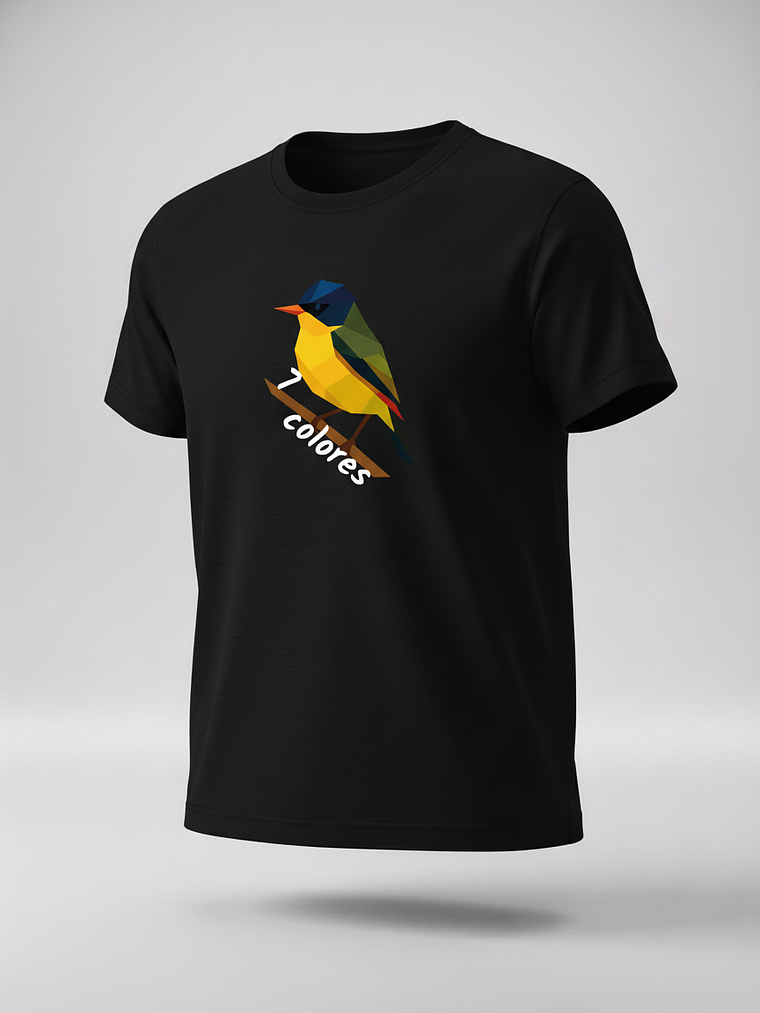 🌈 Polera Siete Colores 1