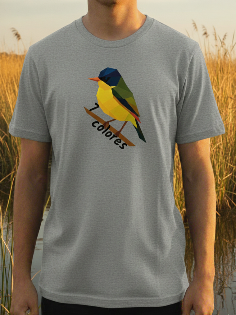 🌈 Polera Siete Colores 3