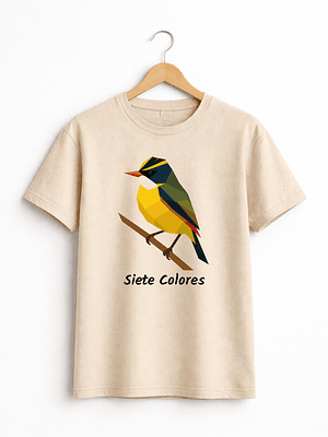 🌈 Polera Siete Colores