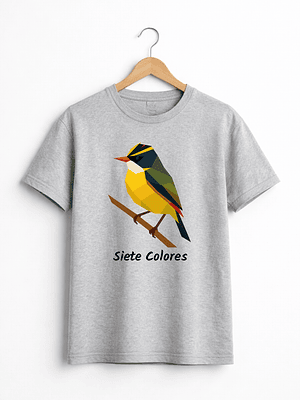 🌈 Polera Siete Colores