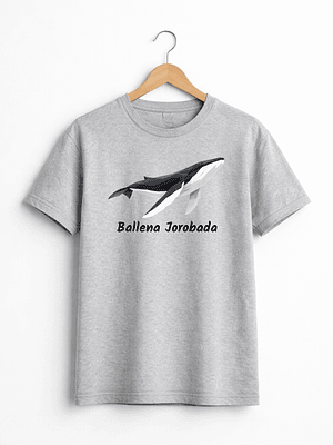 🐋 Ballena Jorobada