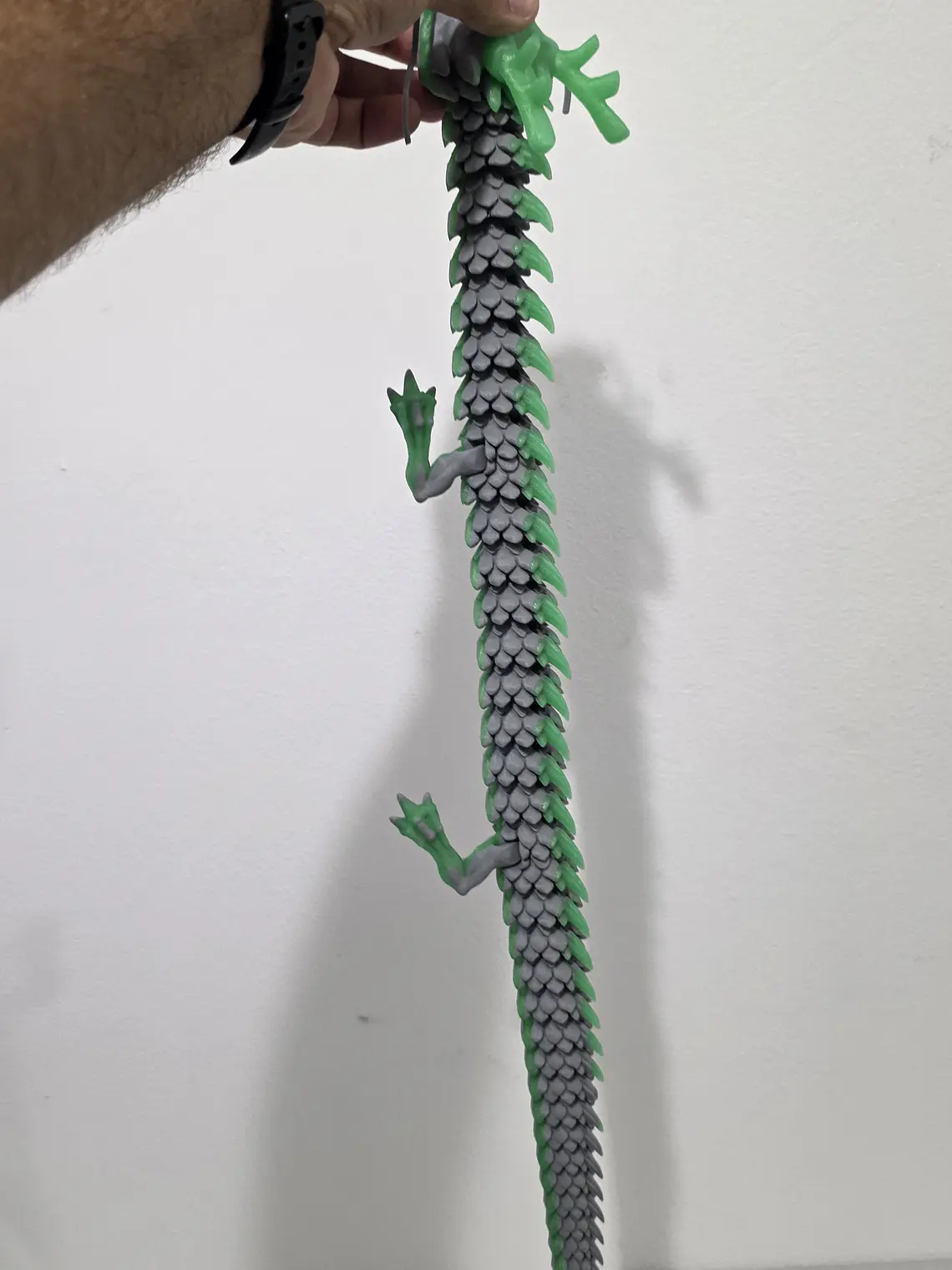 Dragão Escamas Verde 2