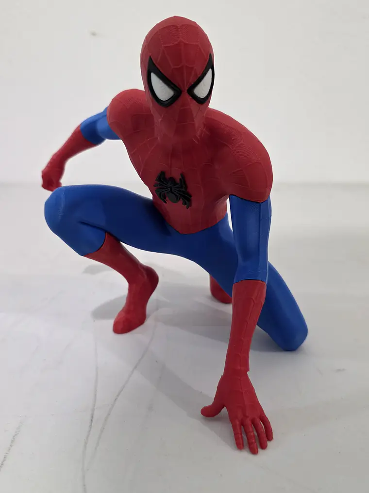 Homem-Aranha 1