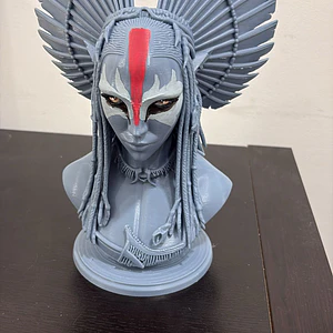 Busto Guerreira Penas