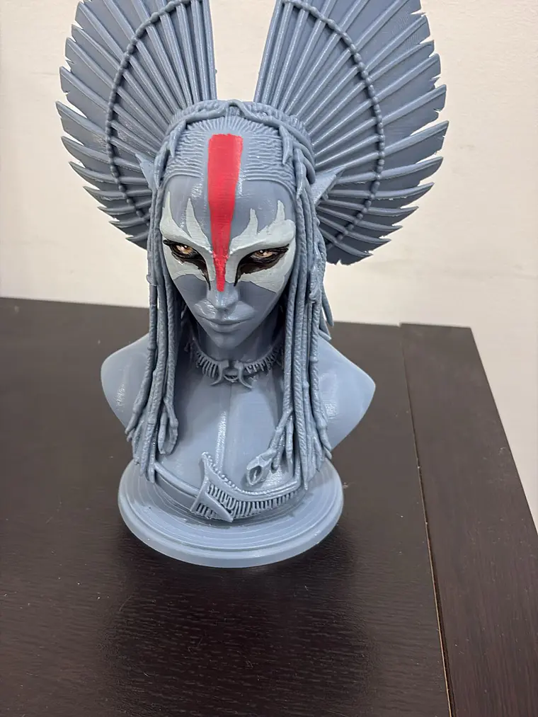 Busto Guerreira Penas 1