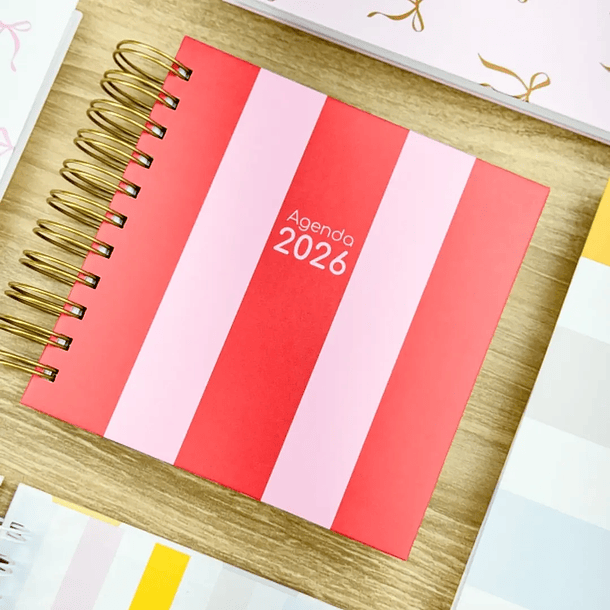 Arquivo Combo Agendas Fofas 2026 - G19 25