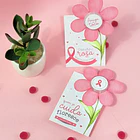 Arquivo Combo Outubro Rosa - Vê Moraes 6