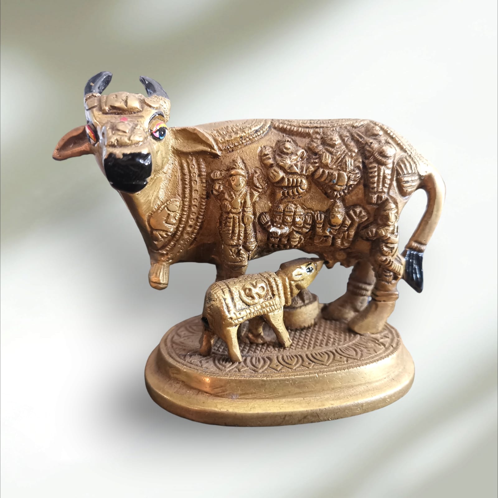 vaca sagrada de india