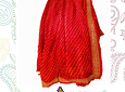 Sari para matrimonio/fiestas/ceremonias