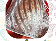 Choli de diseñador - Talla "M"