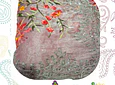 Sari para matrimonio/fiestas/ceremonias