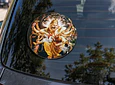 Sticker autoadhesivo-Sri Nrisimha