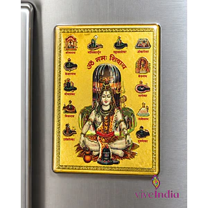 Magneto para el refrigerador o superficies metálicas-Shiva