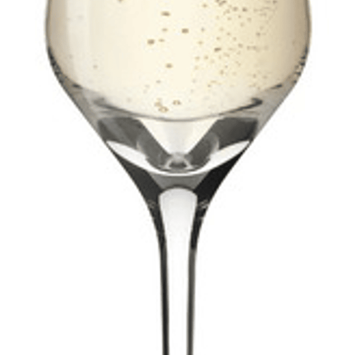 Set 6 Copas De Espumante Cristal Hausmann 248ml Premium 1