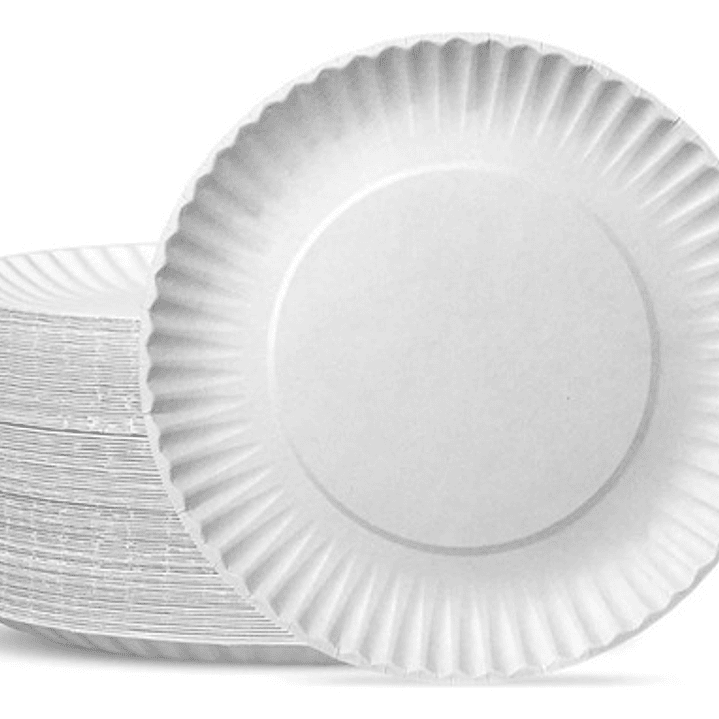 Plato Cartón Blanco Chico 18cm X 250 Unidades 2