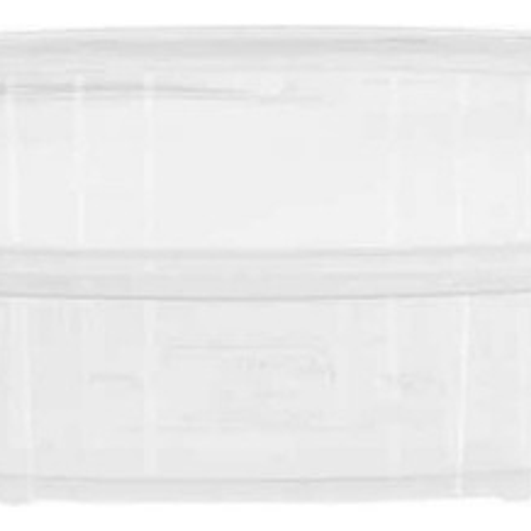 Contenedor Selloplus Cristal 24 Oz C/tapa Plana X 10 Unid 2