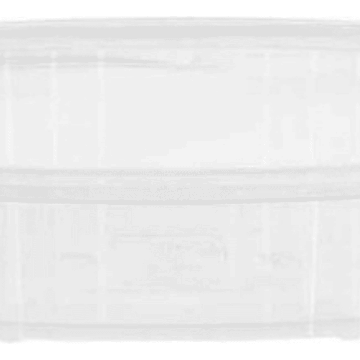 Contenedor Selloplus Cristal 24 Oz C/tapa Plana X 25 Unid 2