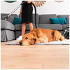 Aspirador Conga PopStar 3000 X-Treme Animal Pro Cecotec