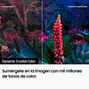 TV 4K 125cm - 50'' TV Samsung TU50CU8000KXXC